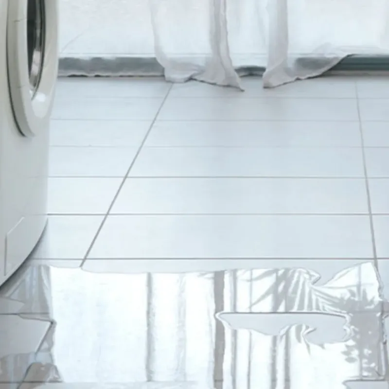 Appliance Leak Cleanup in Pittsburg, KS