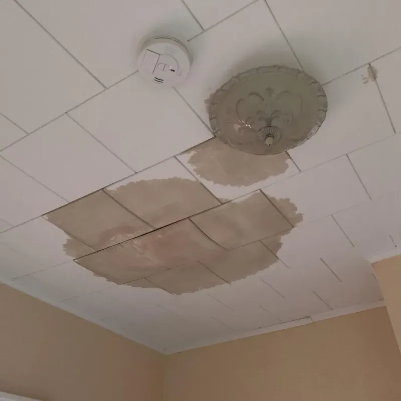 Ceiling Water Damage Repair in Pittsburg, KS