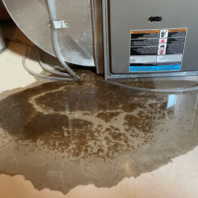 Pipe Burst and Leak Restoration in Pittsburg, KS