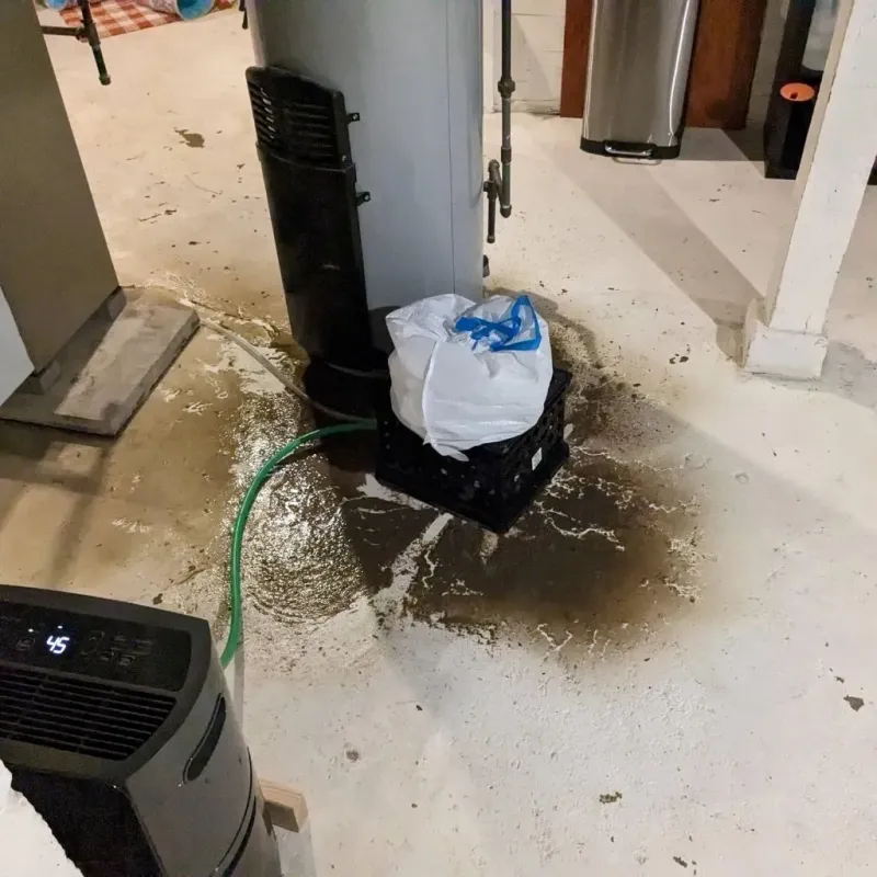 Sewage Backup Cleanup Service in Pittsburg, KS